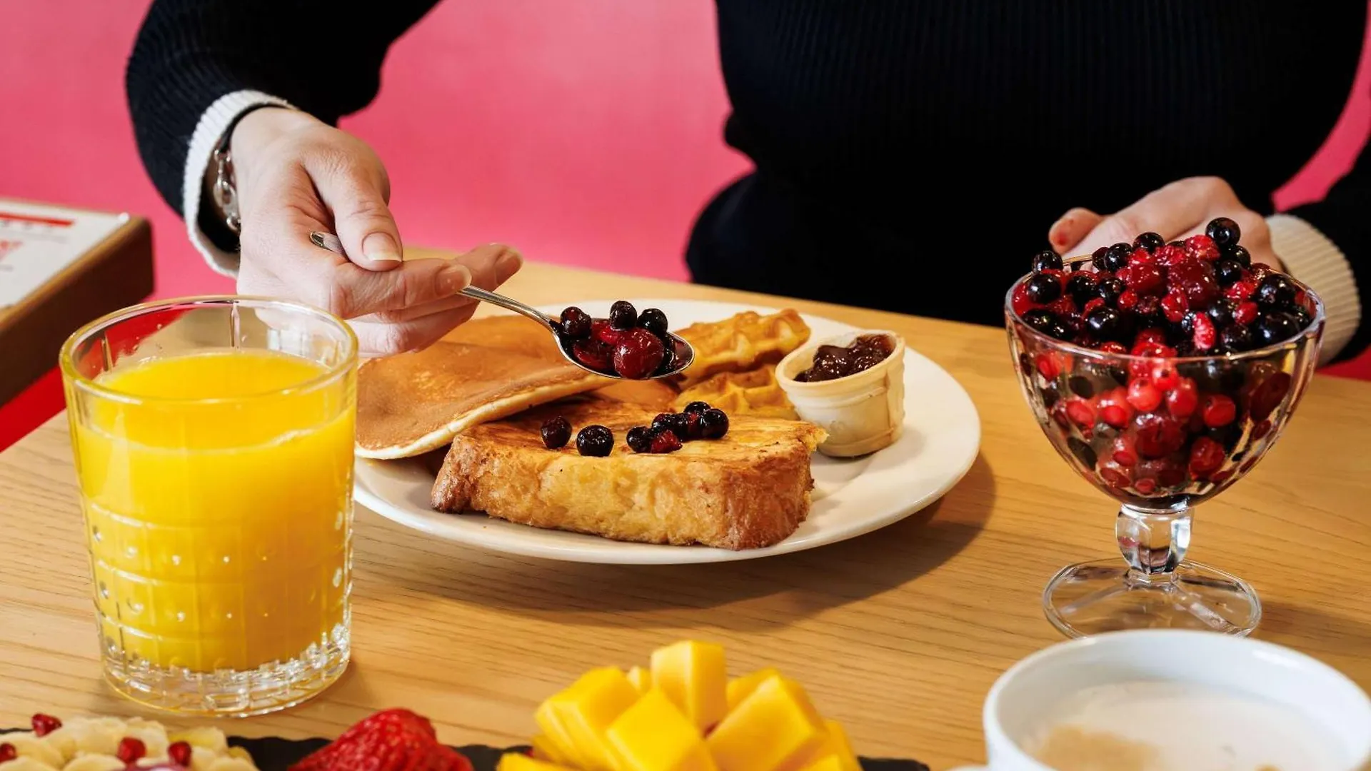 Hotel Ibis Cannes Mandelieu